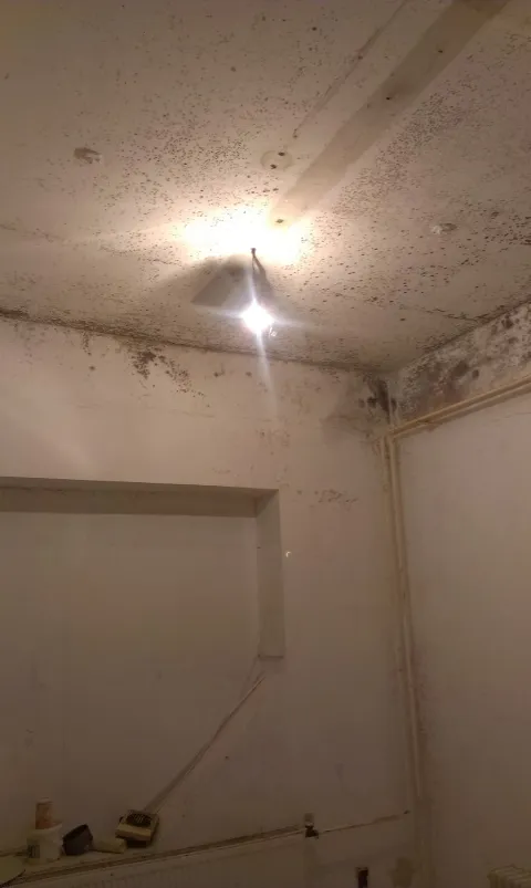Realitná kancelária, foto 8